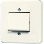 1-gang switch 1 A 24 V AC/DC, 306 A-24