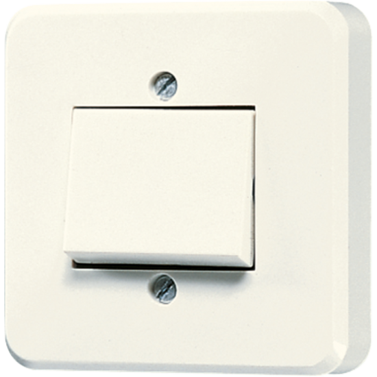 1-gang switch 1 A 24 V AC/DC, 306 A-24