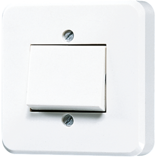 1-gang switch 1 A 24 V AC/DC, 306 A-24 WW