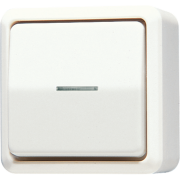 Выключатель одноклавишный10 AX / 250 В ~ с окошком, 606 KO5 A