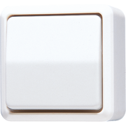 Выключатель одноклавишный 10 AX / 250 B ~, 607 A WW