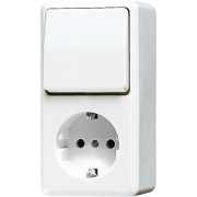 SCHUKO®-розетка 16 A / 250 B ~ с универсальным выключателем 10 AX / 250 B ~, 676 A WW