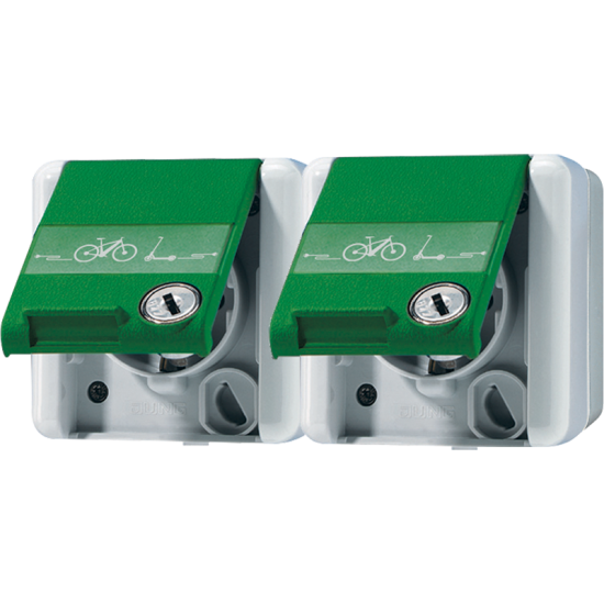 2-gang SCHUKO® socket 16 A / 250 V ~, 8220 GN NAWSLEB