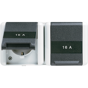 2-gang SCHUKO® socket 16 A / 250 V ~, 8220 KINAW