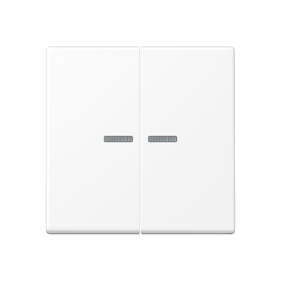 KNX RF кнопка, 2 группы, A 10921 ST RF BF WWM