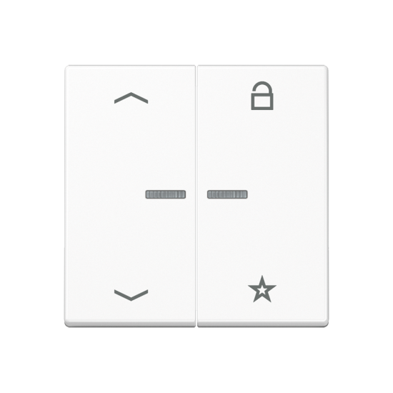 Universal centre plate "arrows", A 1701 BFP WWM