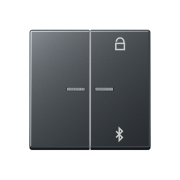 Таймер универсальный Bluetooth® , A 1751 BFBT ANM