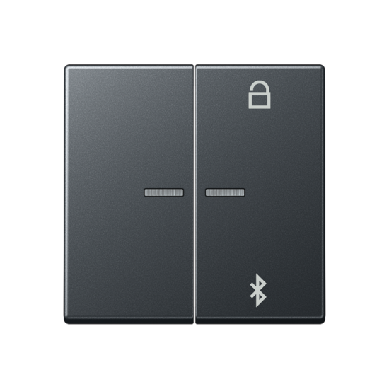 Таймер универсальный Bluetooth® , A 1751 BFBT ANM
