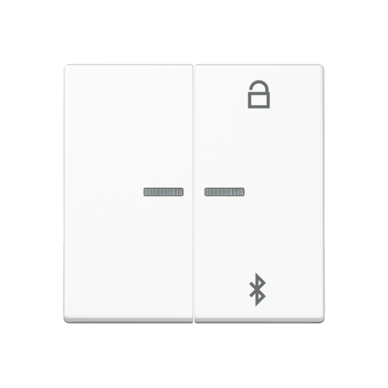 Таймер универсальный Bluetooth® , A 1751 BFBT WW