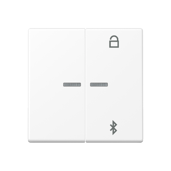 Таймер универсальный Bluetooth® , A 1751 BFBT WWM