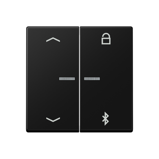 Таймер универсальный Bluetooth® «стрелки», A 1751 BFPBT SWM