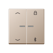 Таймер универсальный Bluetooth® «стрелки», A 1751 PBT CH