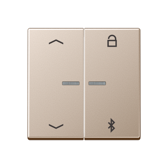 Таймер универсальный Bluetooth® «стрелки», A 1751 PBT CH