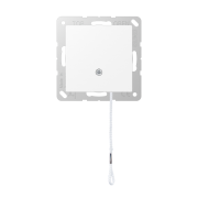 Выключатель со шнурком (универсальный) 10 A / 250 B ~, A 506 BF NUZ WWM