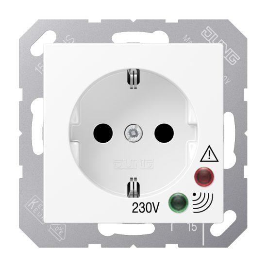 SCHUKO®-розетка 16 A / 250 B ~, A 521 UF WW