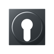 Kрышка, A 528 PL ANM