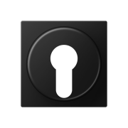 Kрышка, A 528 PL SWM