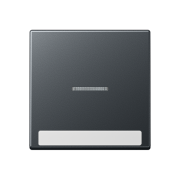 Клавиша с окошком и с полем для надписи 6 x 46 мм, A 590 BF NA KO5 ANM