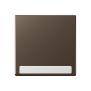 Kлавиша с полем для надписи 6 x 46 мм, A 590 BF NA MO