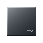 Клавиша с символом «ключ», A 590 BF T ANM