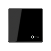 Клавиша с символом «ключ», A 590 BF T SW