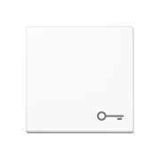 Клавиша с символом «ключ», A 590 BF T WW