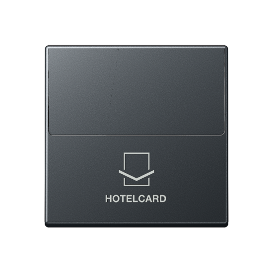 Накладка карточного выключателя (без механизма), A 590 CARD ANM