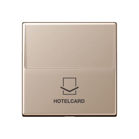 Накладка карточного выключателя (без механизма), A 590 CARD CH