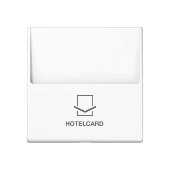 Накладка карточного выключателя (без механизма), A 590 CARD WW