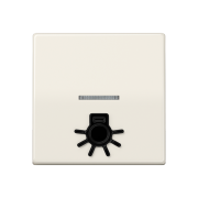 Безбарьерная среда Kлавиша с рельефным символом «освещение» и окошком, ABAS 591 L1KO5