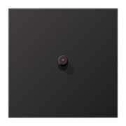 Центральная плата с тумблером «цилиндр», с окошком, AL 12-0 KO D R 01