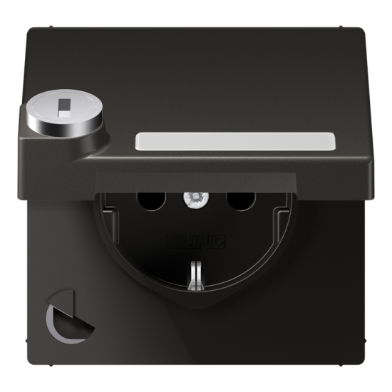 SCHUKO®-розетка 16 A / 250 B ~, AL 1520 NAKLSL AN
