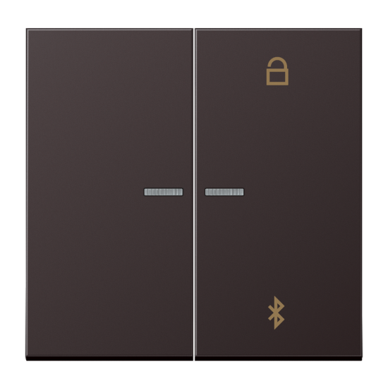 Таймер универсальный Bluetooth® , AL 1751 BT D
