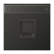 Плата (фиксация защёлкиванием) с полем для надписи 12 x 55 мм, AL 1969-15 NA WE AN