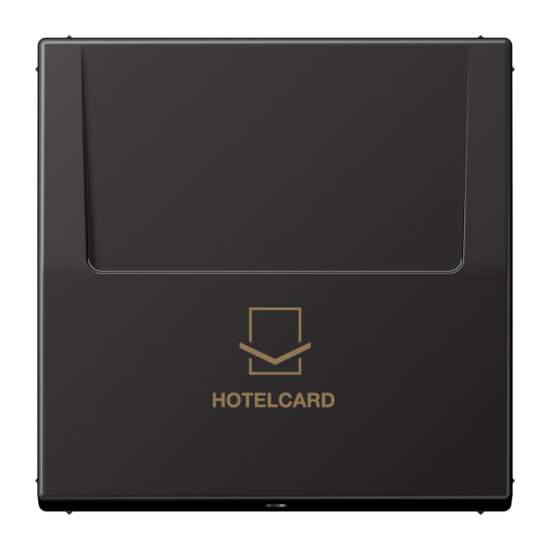 Накладка карточного выключателя (без механизма), AL 2990 CARD D