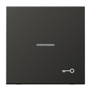 Kлавиша с символом «ключ» и окошком, AL 2990 KO5 T AN