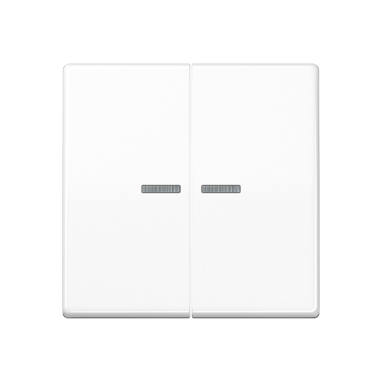 KNX RF кнопка, 2 группы, AS 10921 ST RF WW