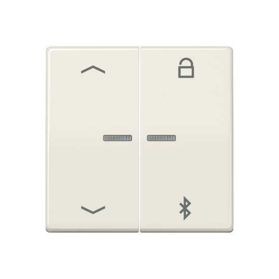 Таймер универсальный Bluetooth® «стрелки», AS 1751 PBT