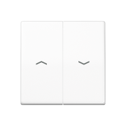 Клавиша с символами «стрелки», AS 591-5 PBF WW