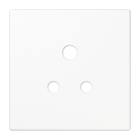 Накладка, BS 2171-5 WW PL