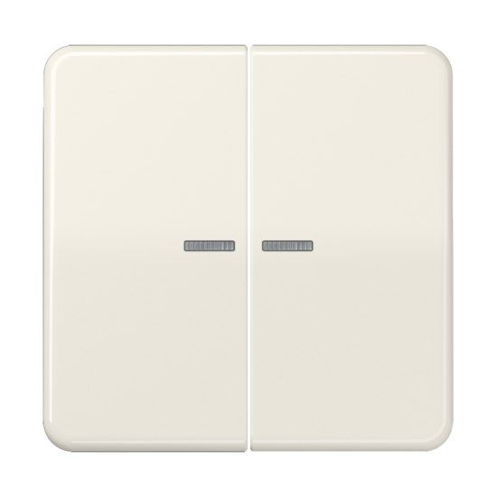 KNX RF кнопка, 2 группы, CD 10921 ST RF