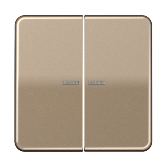 KNX RF кнопка, 2 группы, CD 10921 ST RF GB