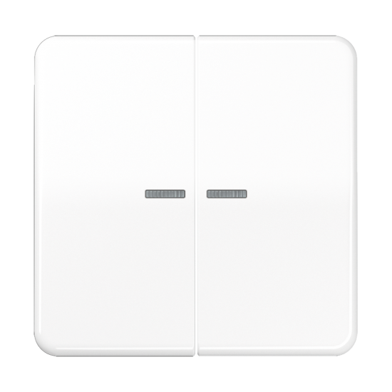 KNX RF кнопка, 2 группы, CD 10921 ST RF WW