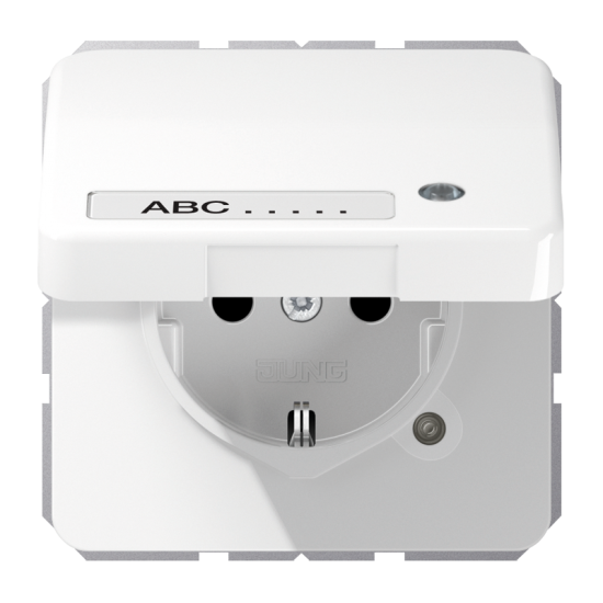 SCHUKO®-розетка 16 A / 250 B ~, CD 1520 NAKLKO WW
