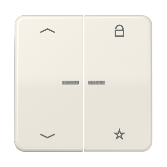 Universal centre plate "arrows", CD 1701 P
