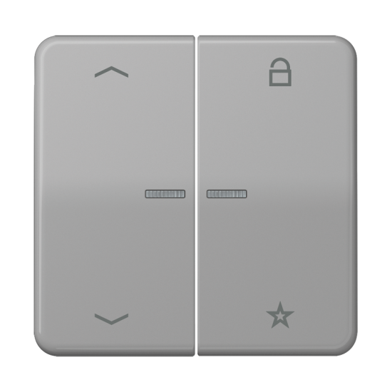 Universal centre plate "arrows", CD 1701 P GR