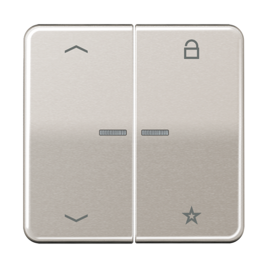 Universal centre plate "arrows", CD 1701 P PT