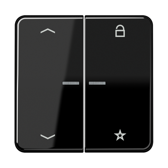Universal centre plate "arrows", CD 1701 P SW