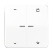 Universal centre plate "arrows", CD 1701 P WW