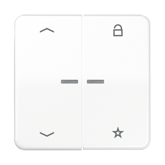 Universal centre plate "arrows", CD 1701 P WW